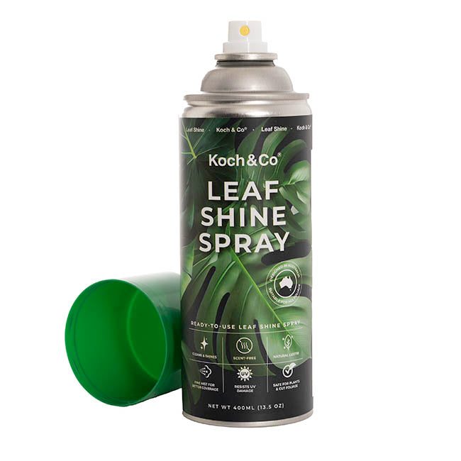 Leaf Shine Premium Spray Koch & Co 400ml