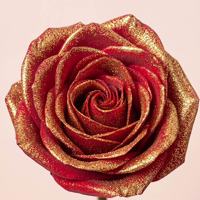 Floral Event Craft Spray Paint Clear Base Gold Glitter(340g)