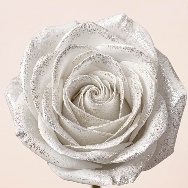 Floral Event Craft Spray Paint Clear Base Silv Glitter(340g)