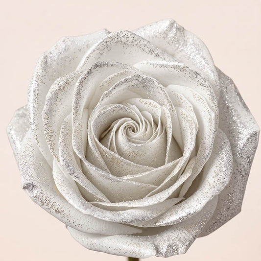 Floral Event Craft Spray Paint Clear Base Silv Glitter(340g)