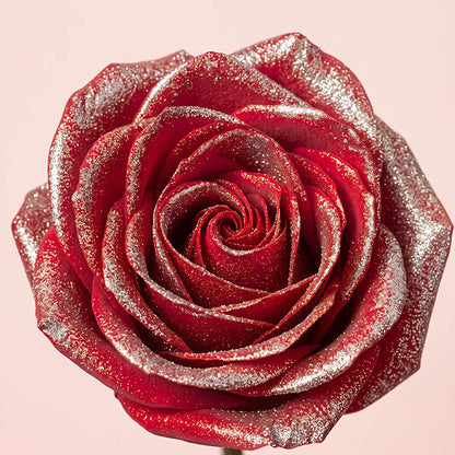 Floral Event Craft Spray Paint Clear Base Silv Glitter(340g)
