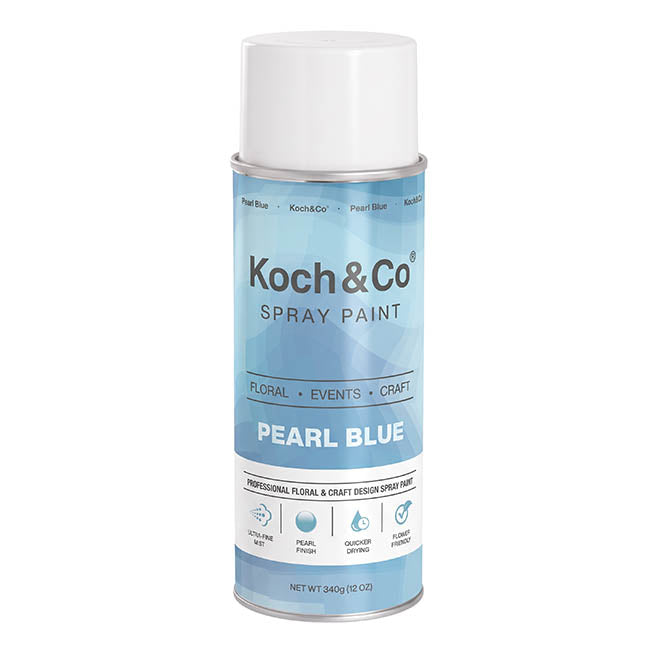 Floral Event Craft Spray Paint Pearl Ice Blue(340g)