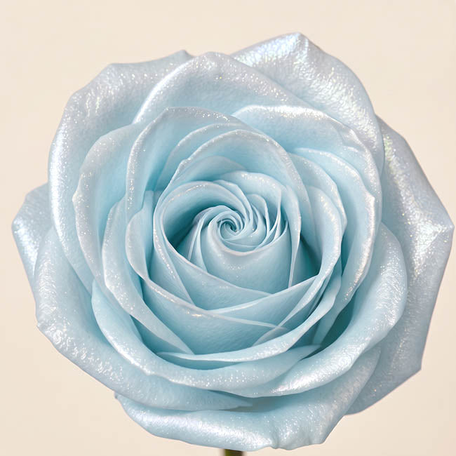 Floral Event Craft Spray Paint Pearl Ice Blue(340g)
