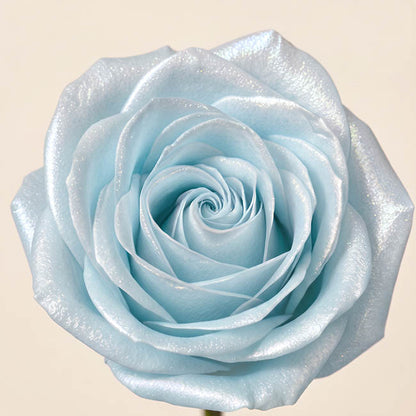 Floral Event Craft Spray Paint Pearl Ice Blue(340g)