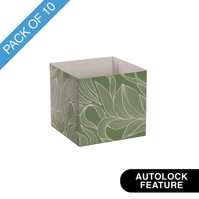 Posy Box Mini Flowy Leaves Eucalyptus White Pk10 (13x12cmH)