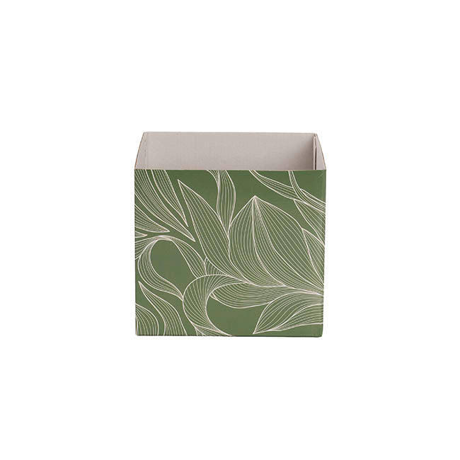 Posy Box Mini Flowy Leaves Eucalyptus White Pk10 (13x12cmH)