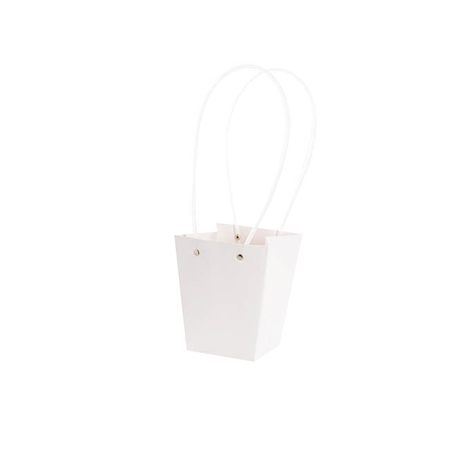 Flower Carry Bag Kraft White Small Pk5 (9.5x13x15.5cmH)