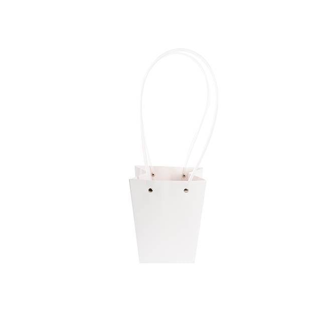 Flower Carry Bag Kraft White Small Pk5 (9.5x13x15.5cmH)