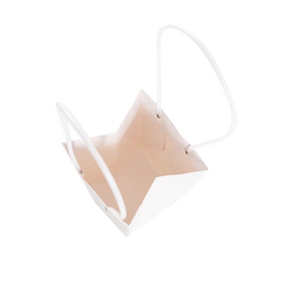 Flower Carry Bag Kraft White Small Pk5 (9.5x13x15.5cmH)
