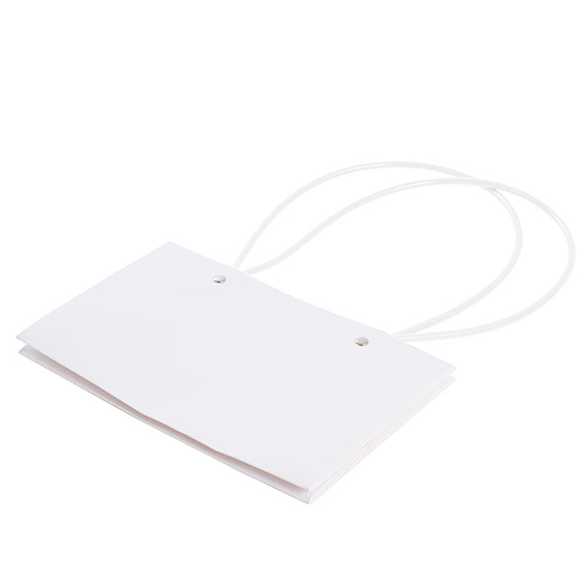 Flower Carry Bag Kraft White Rectangle Pk5 (22x10.5x13cmH)