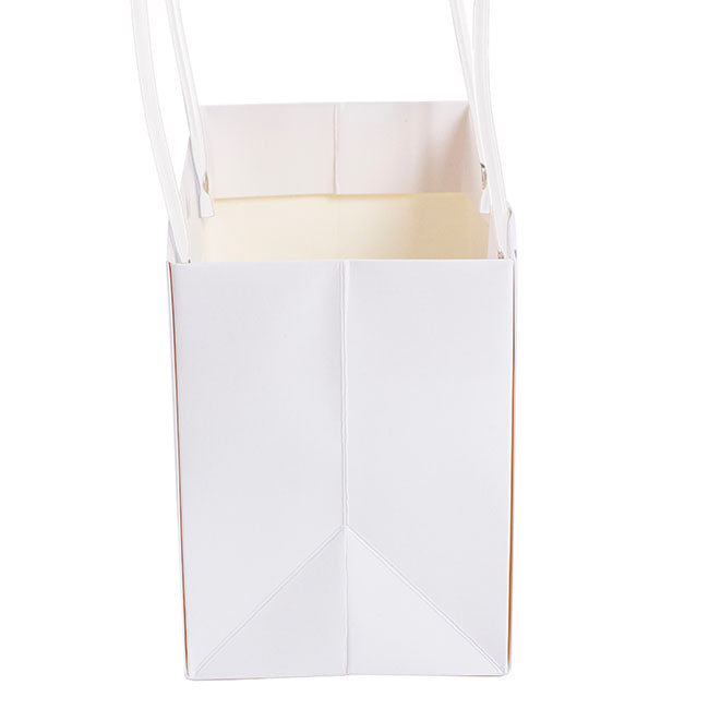 Flower Carry Bag Kraft White Rectangle Pk5 (22x10.5x13cmH)
