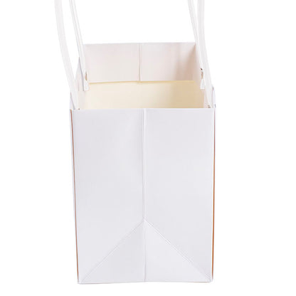 Flower Carry Bag Kraft White Rectangle Pk5 (22x10.5x13cmH)