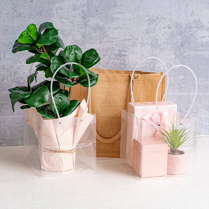 Flower Gift Carry Bag Square Clear Pk5 (25x25x22cmH)