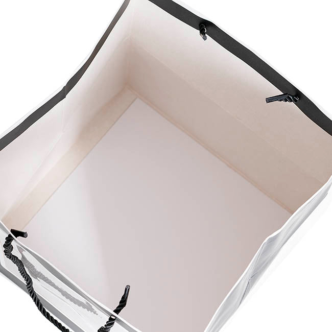Window Posy Gift Bag Silhouette Black Pack 5 (20x20x20cmH)