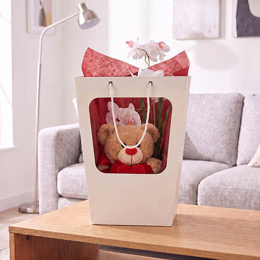 Window Posy Gift Bag V Shape White Pack 5 (30x20x45cmH)