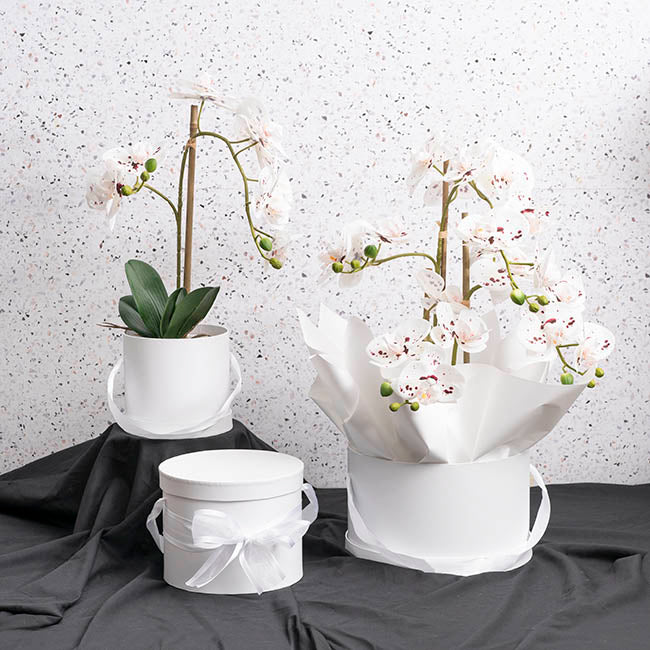 Flower Hat Box Grande Round White Set 3 (25Dx15cmH)