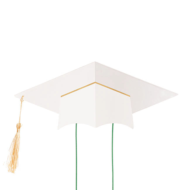 Graduation Flower Hamper Topper White Set 3 (19Dx19cmH)