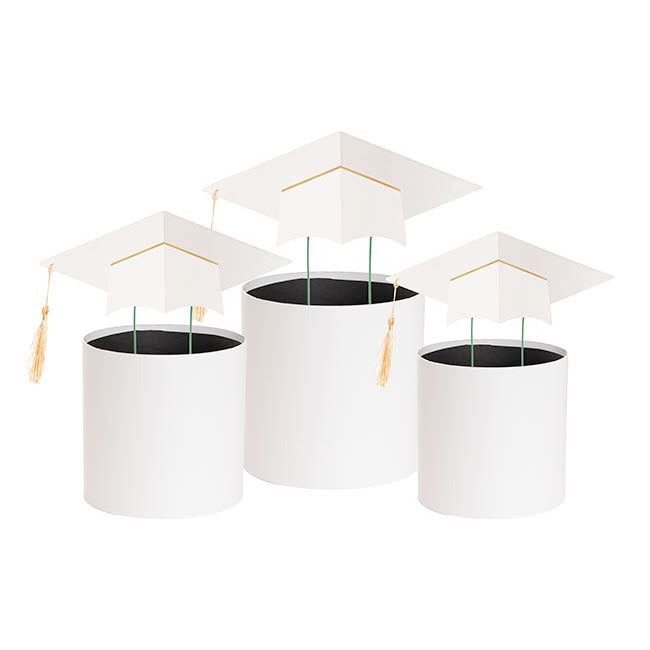 Graduation Flower Hamper Topper White Set 3 (19Dx19cmH)