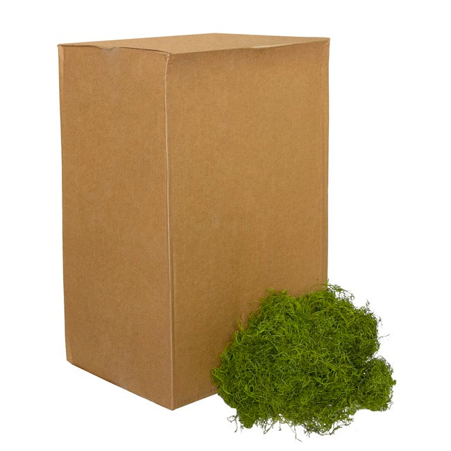 Spanish Moss Preserved Bulk Grass Green (4.55kg Box)