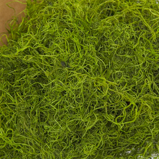 Spanish Moss Preserved Bulk Grass Green (4.55kg Box)