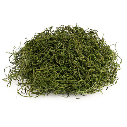 Spanish Moss Preserved Grass Green (55gm Bag)