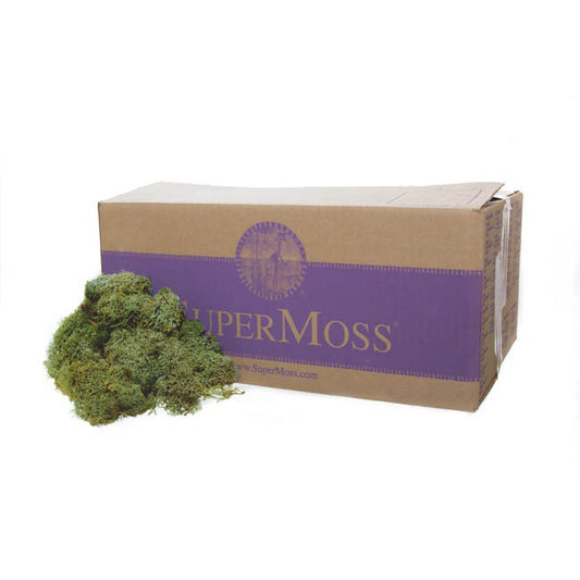 Reindeer Moss Preserved Bulk Moss Dark Green (3lb 1.36kg)