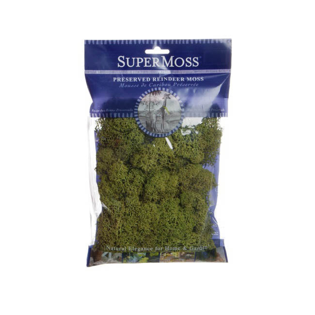 Reindeer Moss Preserved Bulk Moss Dark Green (225g Bag)