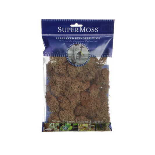 Reindeer Moss Preserved Bag Rust Brown (55gm Bag)