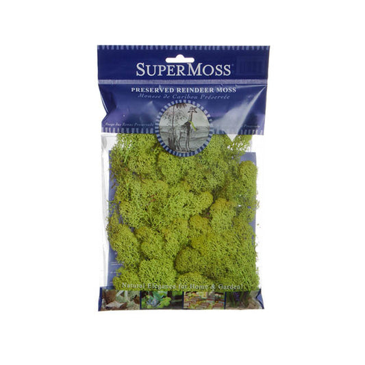Reindeer Moss Preserved Bag Chartreuse (55gm Bag)