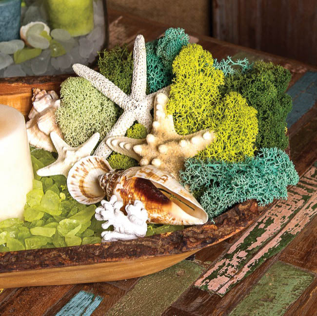 Reindeer Moss Preserved Bag Moss Dark Green (55gm Bag)