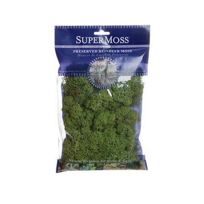Reindeer Moss Preserved Bag Moss Light Green (55gm Bag)