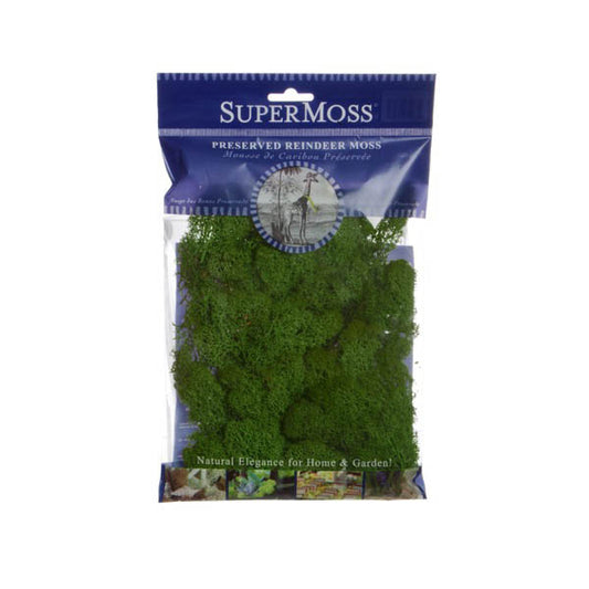 Reindeer Moss Preserved Bag Forest Green (55gm Bag)