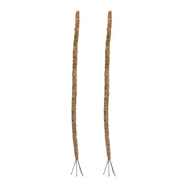 Bendable Preserved Sphagnum Moss Pole Pack 2 Beige (91.5cmH)
