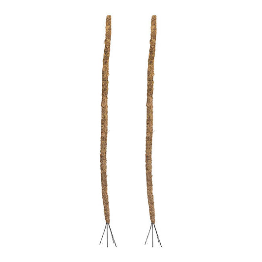 Bendable Preserved Sphagnum Moss Pole Pack 2 Beige (91.5cmH)