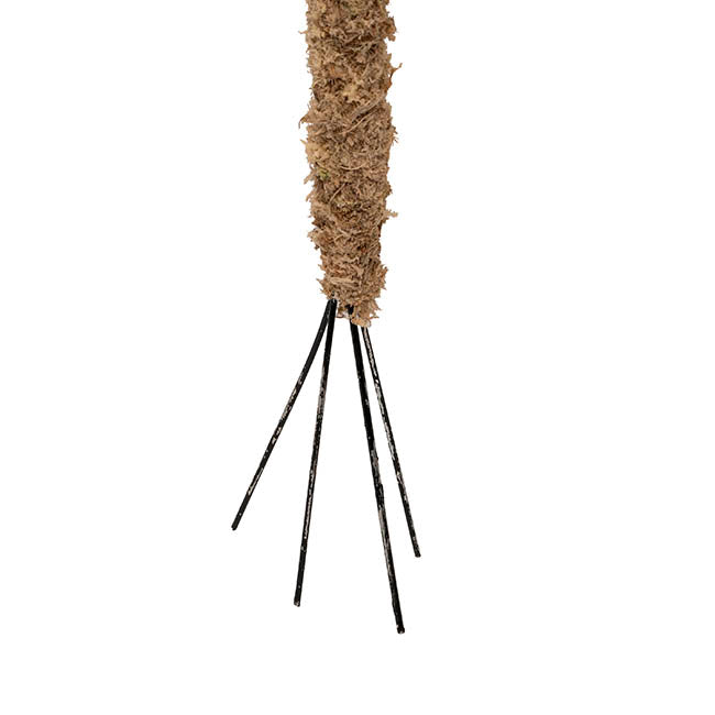 Bendable Preserved Sphagnum Moss Pole Pack 2 Beige (91.5cmH)
