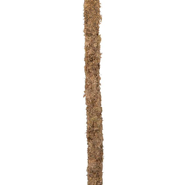 Bendable Preserved Sphagnum Moss Pole Pack 2 Beige (91.5cmH)