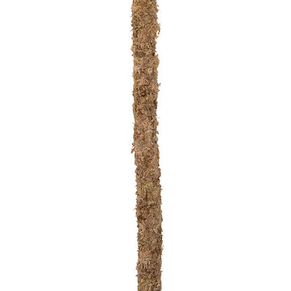 Bendable Preserved Sphagnum Moss Pole Pack 2 Beige (91.5cmH)