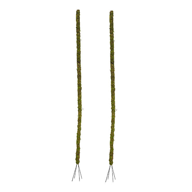 Bendable Preserved Moss Pole Pack 2 Green (91.5cmH)
