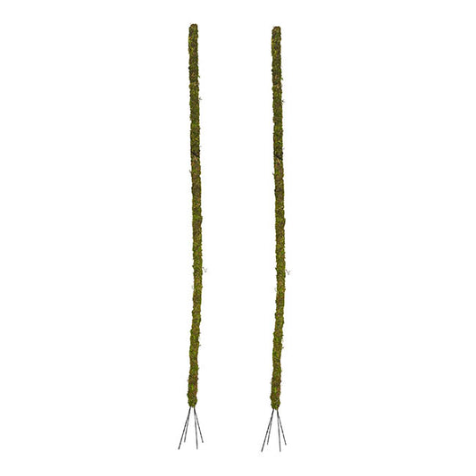 Bendable Preserved Moss Pole Pack 2 Green (91.5cmH)
