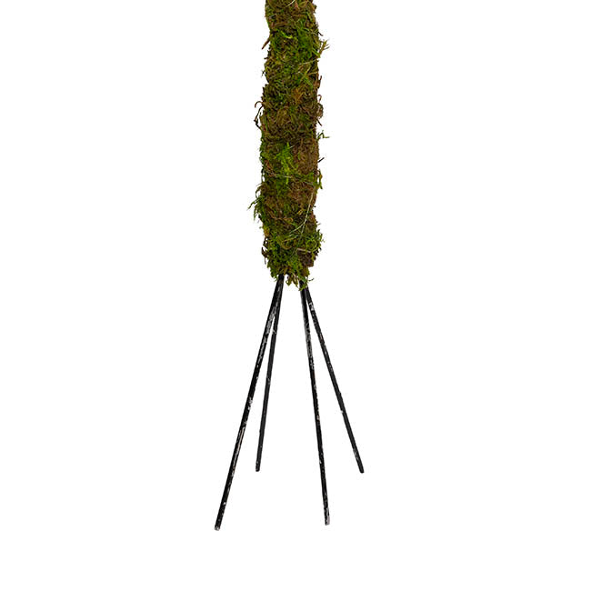 Bendable Preserved Moss Pole Pack 2 Green (91.5cmH)