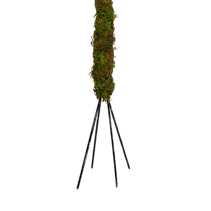 Bendable Preserved Moss Pole Pack 2 Green (91.5cmH)