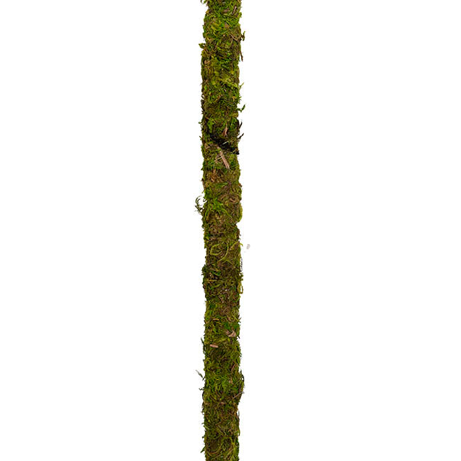 Bendable Preserved Moss Pole Pack 2 Green (91.5cmH)