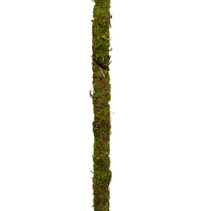 Bendable Preserved Moss Pole Pack 2 Green (91.5cmH)
