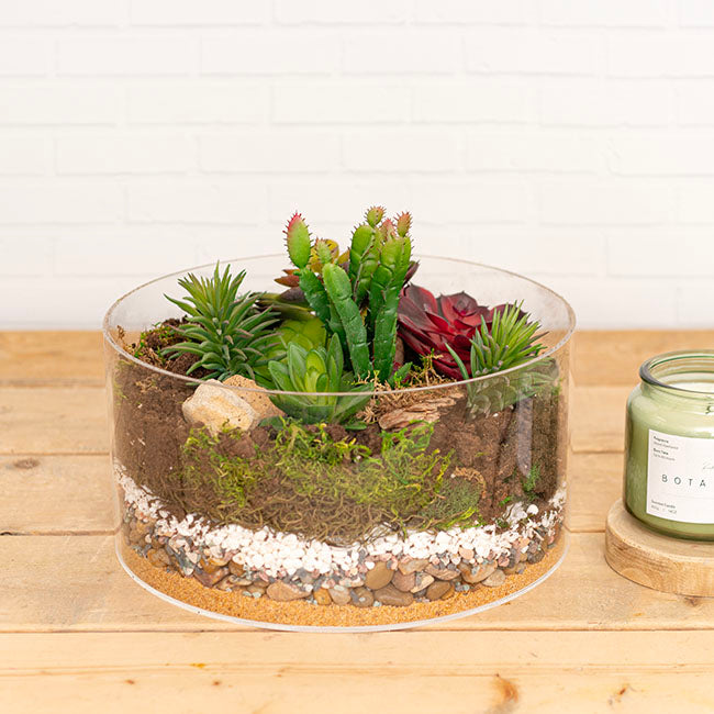 Oregon Moss Mix Preserved Bag Moss Assorted (55gm Bag)