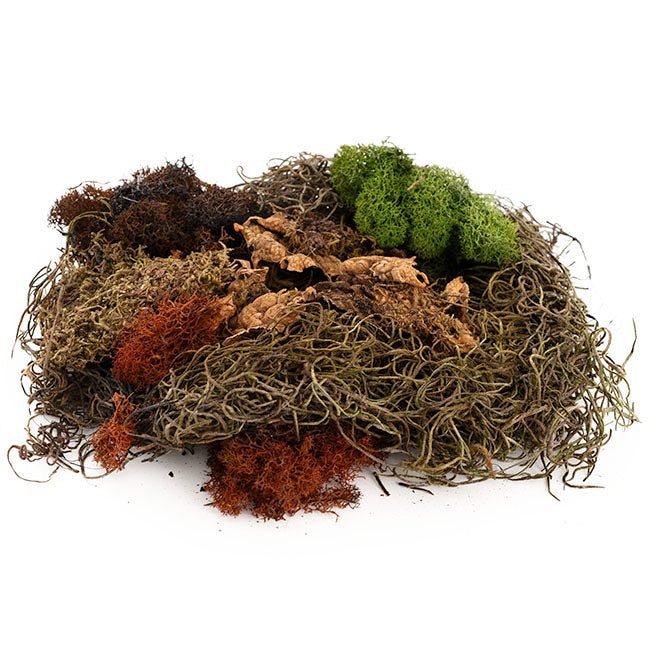 Oregon Moss Mix Preserved Bag Moss Assorted (55gm Bag)