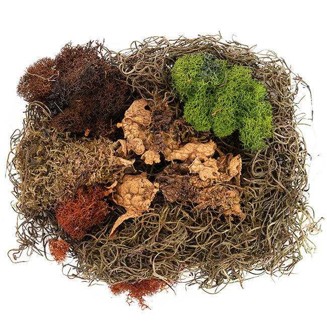 Oregon Moss Mix Preserved Bag Moss Assorted (55gm Bag)