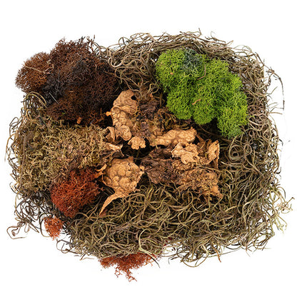 Oregon Moss Mix Preserved Bag Moss Assorted (55gm Bag)