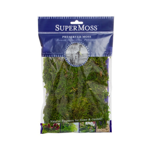 Forest Moss Preserved Bag Moss Fresh Green (55gm Bag)