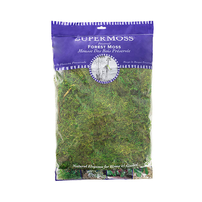 Forest Moss Preserved Bag Moss Fresh Green (225gm)