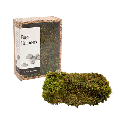 Premium Preserved Forest Hair Moss Green (19x14.5cmH)